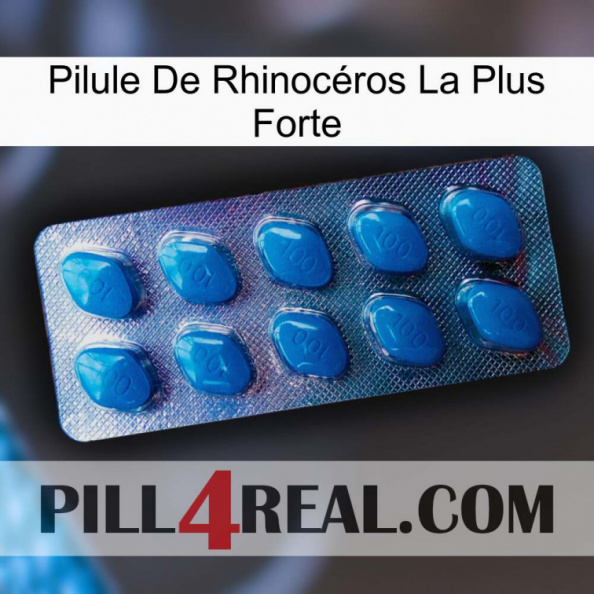 Pilule De Rhinocéros La Plus Forte viagra1